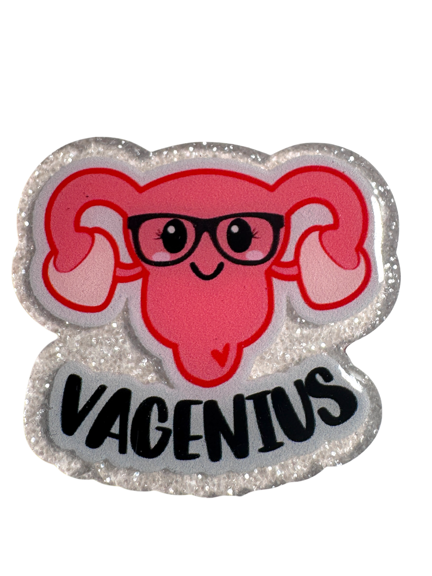 Badge Reel | Interchangable |  ID Badge holder Vagenius